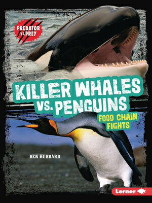 Killer Whales vs. Penguins: Food Chain Fights KILLER WHALES VS PENGUINS （Predator vs. Prey） [ Ben Hubbard ]