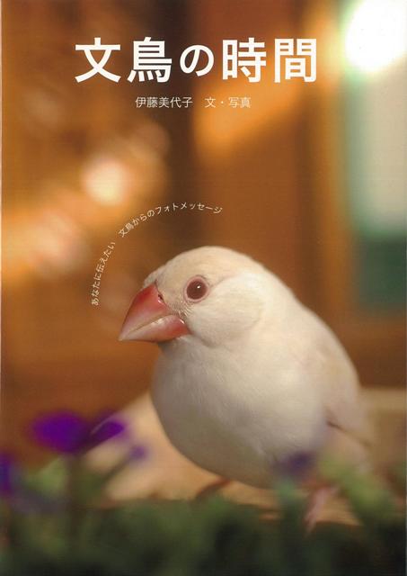 【バーゲン本】文鳥の時間