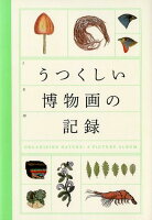 9784766132151 - 2024年博物画 (図鑑絵) イラストの勉強に役立つ書籍・本まとめ