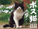 ボス猫カレンダー2022 [ 岩合光昭 ]