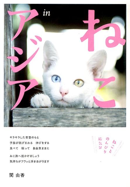 ねこinアジア