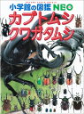 小学館の図鑑NEO カブトムシ・クワガタムシ [ 小池 啓一 ]