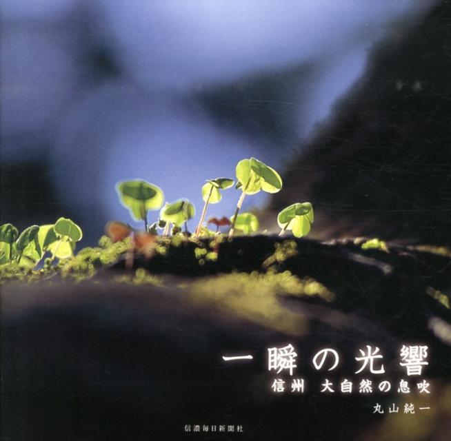 一瞬の光響 信州大自然の息吹 [ 丸山純一 ]