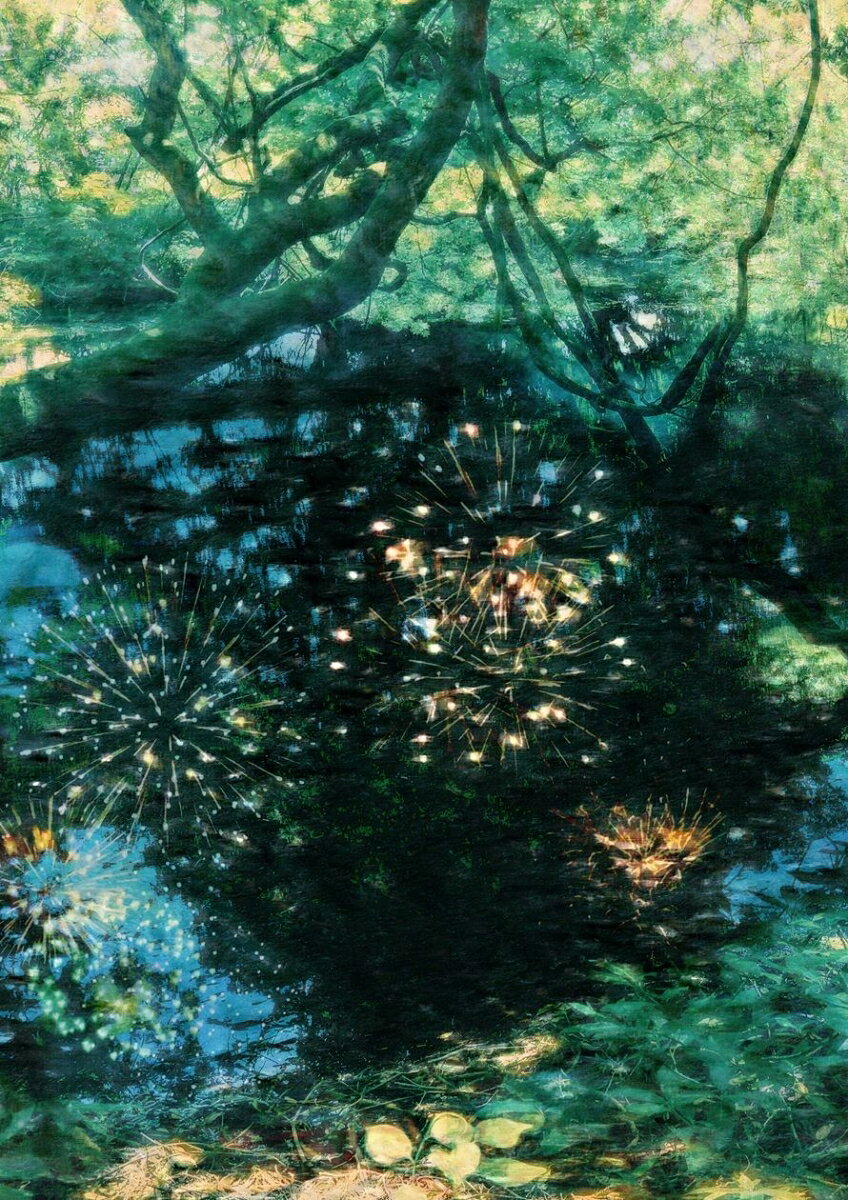 私雨に夏の灯を知る (CD＋Blu-ray)