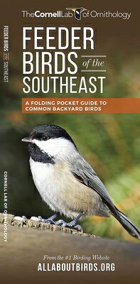 Feeder Birds of the Southeast FEEDER BIRDS OF THE SOUTHEAST （All about Birds） [ The ]