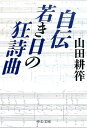 自伝若き日の狂詩曲改版 （中公文庫） 