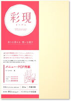 PCM竹尾 プリンタ用紙 彩現 メニュー・POP用 A4 リ・シマメ 白 1742186