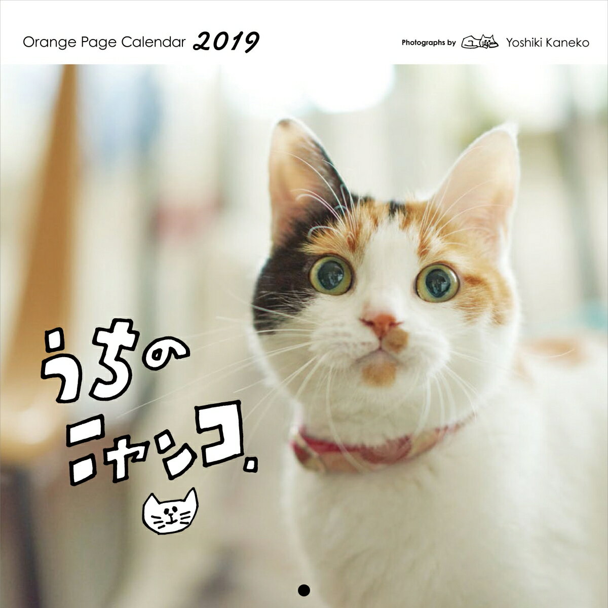 うちのニャンコ。壁掛カレンダー