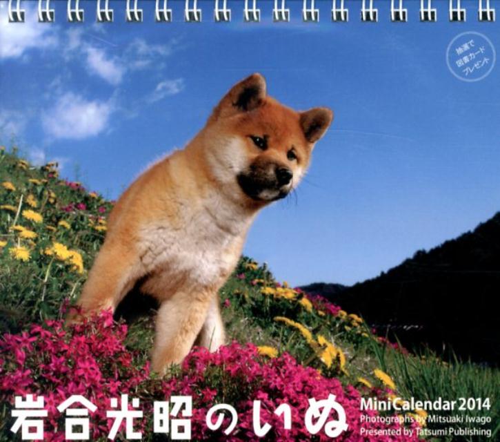 ミニカレンダー岩合光昭のいぬ（2014）