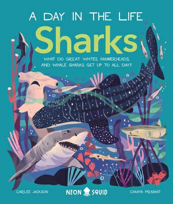 Sharks (a Day in the Life): What Do Great Whites, Hammerheads, and Whale Sharks Get Up to All Day? SHARKS (A DAY IN THE LIFE) （Day in the Life） [ Carlee Jackson ]