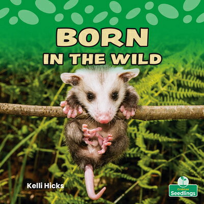 Born in the Wild BORN IN THE WILD 