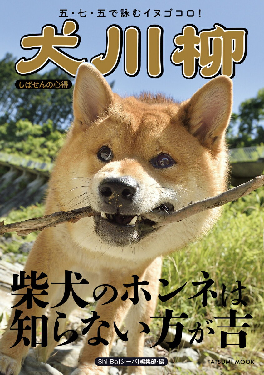 犬川柳　しばせんの心得