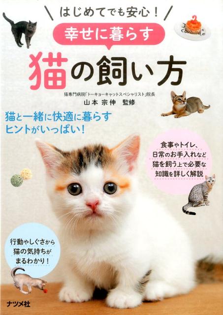 はじめてでも安心!幸せに暮らす猫の飼い方