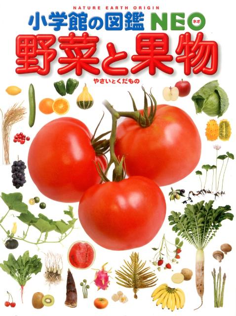 小学館の図鑑 NEO 野菜と果物 [ 板木 利隆 ]