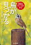 季節とフィールドから鳥が見つかる 1年で240種の鳥と出会う [ 中野泰敬 ]