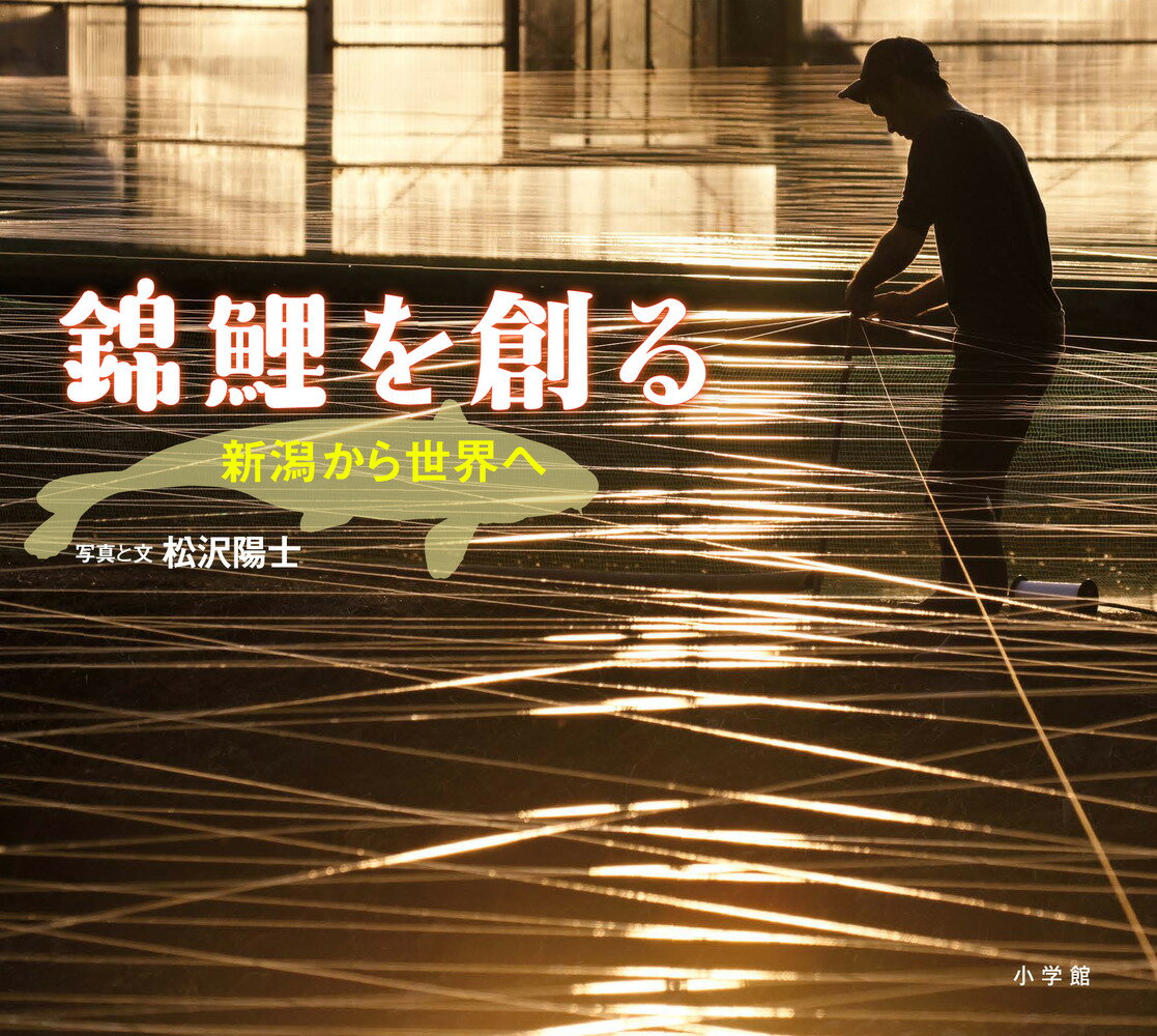 錦鯉を創る 新潟から世界へ （小学館の図鑑NEOの科学絵本） [ 松沢 陽士 ]のサムネイル