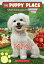 Miki (the Puppy Place #59): Volume 59 PUPPY PLACE #59 MIKI (THE PUPP Puppy Place [ Ellen Miles ]