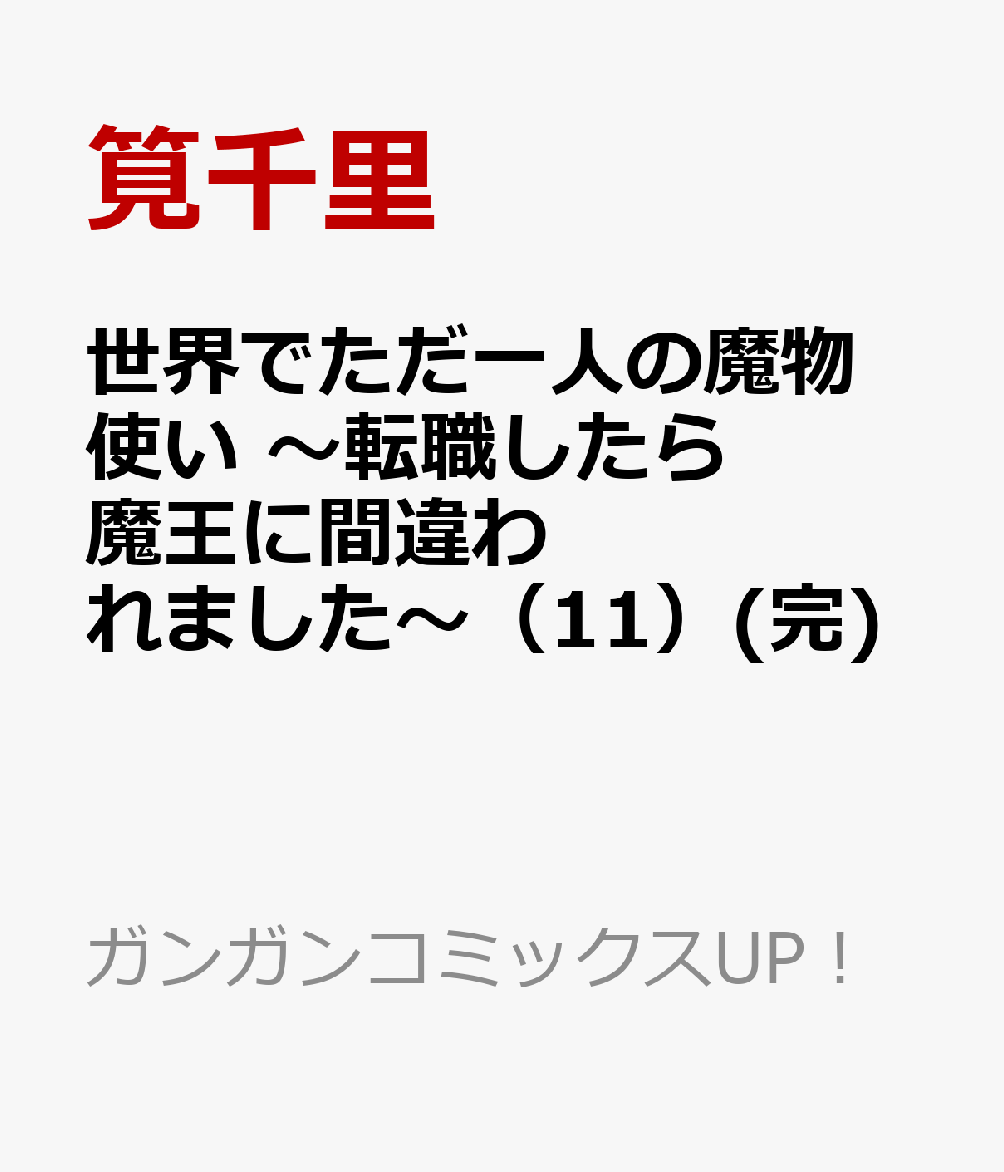 世界でただ一人の魔物使い 〜転職したら魔王に間違われました〜（11）(完)