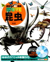 講談社 講談社の動く図鑑MOVE 昆虫　新訂版 （講談社の動く図鑑MOVE） [ 講談社 ]