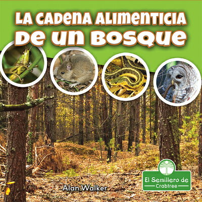 La Cadena Alimenticia de Un Bosque (Food Chain in a Forest) SPA-CADENA ALIMENTICIA DE UN B 