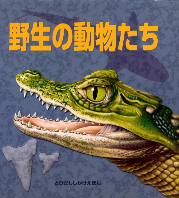 野生の動物たち