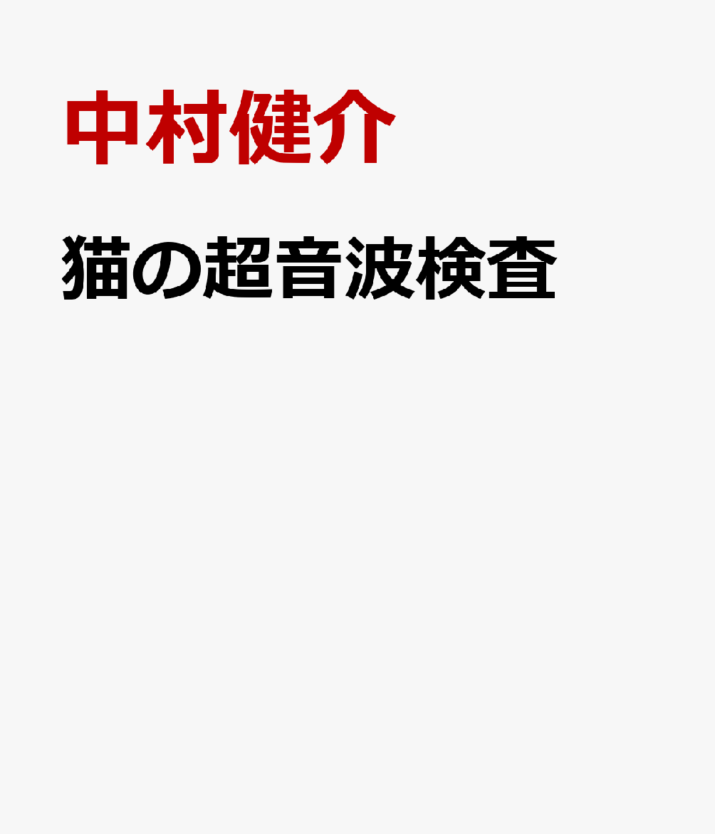 猫の超音波検査