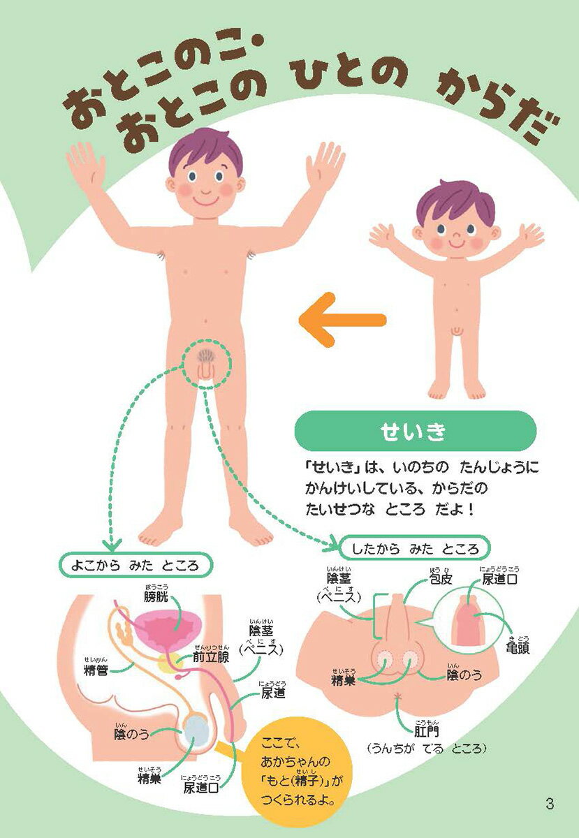 �ƻҤ��ä��������Τ��� 3�Ф���Ϥ�������� [ �⻳�û� ]