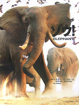 ゾウ！