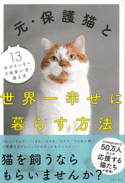 【バーゲン本】元・保護猫と世界一幸せに暮らす方法