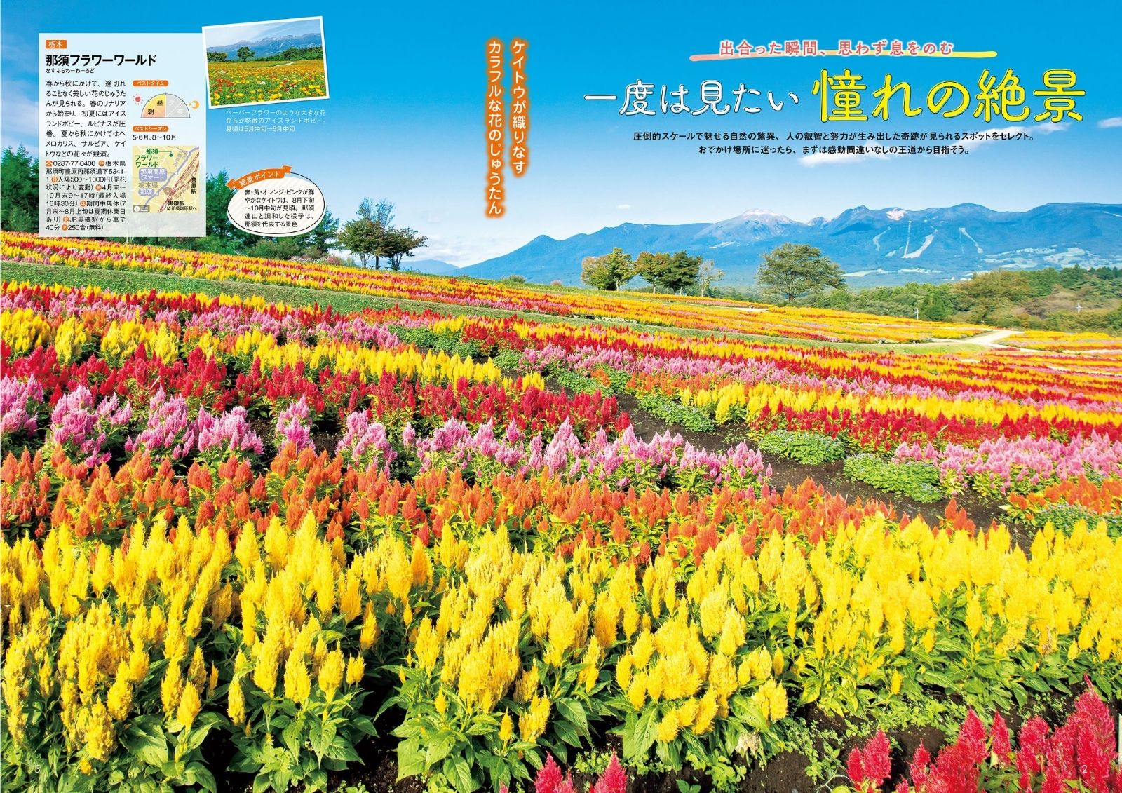 東京から行く！日帰り絶景さんぽ 2027 （JTBのMOOK） [ JTBパブリッシング 旅行ガイドブック 編集部 ] book-21886285 楽天ブックス サンプル画像3