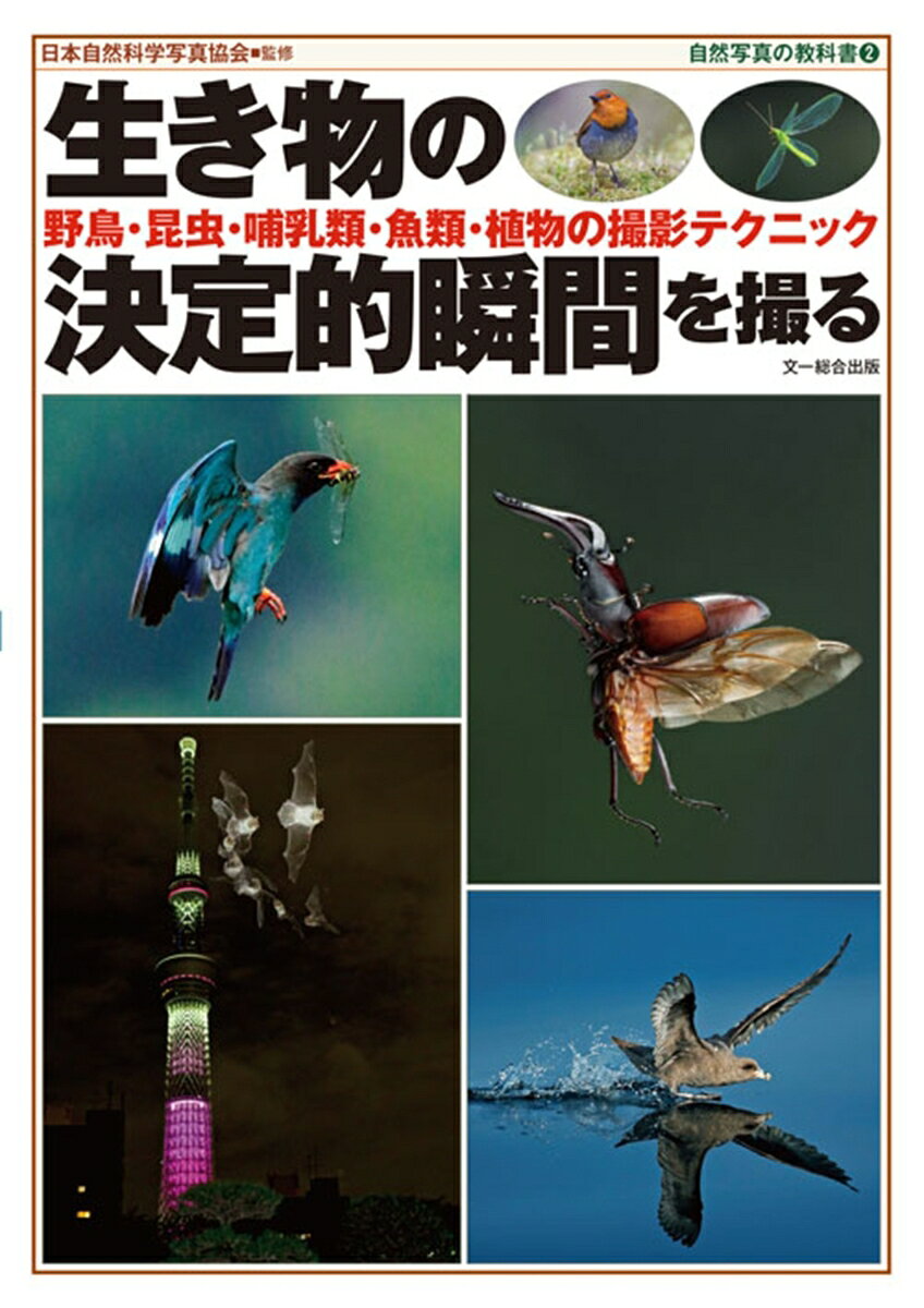 動体に対する高速AF、秒60コマの高速連写、シャッター全押し前後の画像を撮影できる機能、6K動画からの静止画切り出しといった革新的な技術を使って、生き物の決定的瞬間を撮影するテクニックを紹介する撮影ガイド。
日本を代表する自然写真家20名の豊富な作例と撮影データが実践で役立つ。