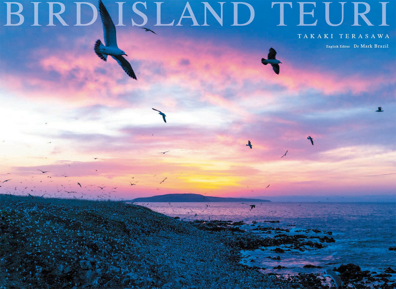 BIRD ISLAND TEURI