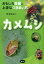 カメムシ おもしろ生態と上手なつきあい方 [ 野澤雅美 ]