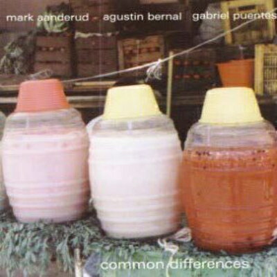 【輸入盤】Common Differences (Ltd)