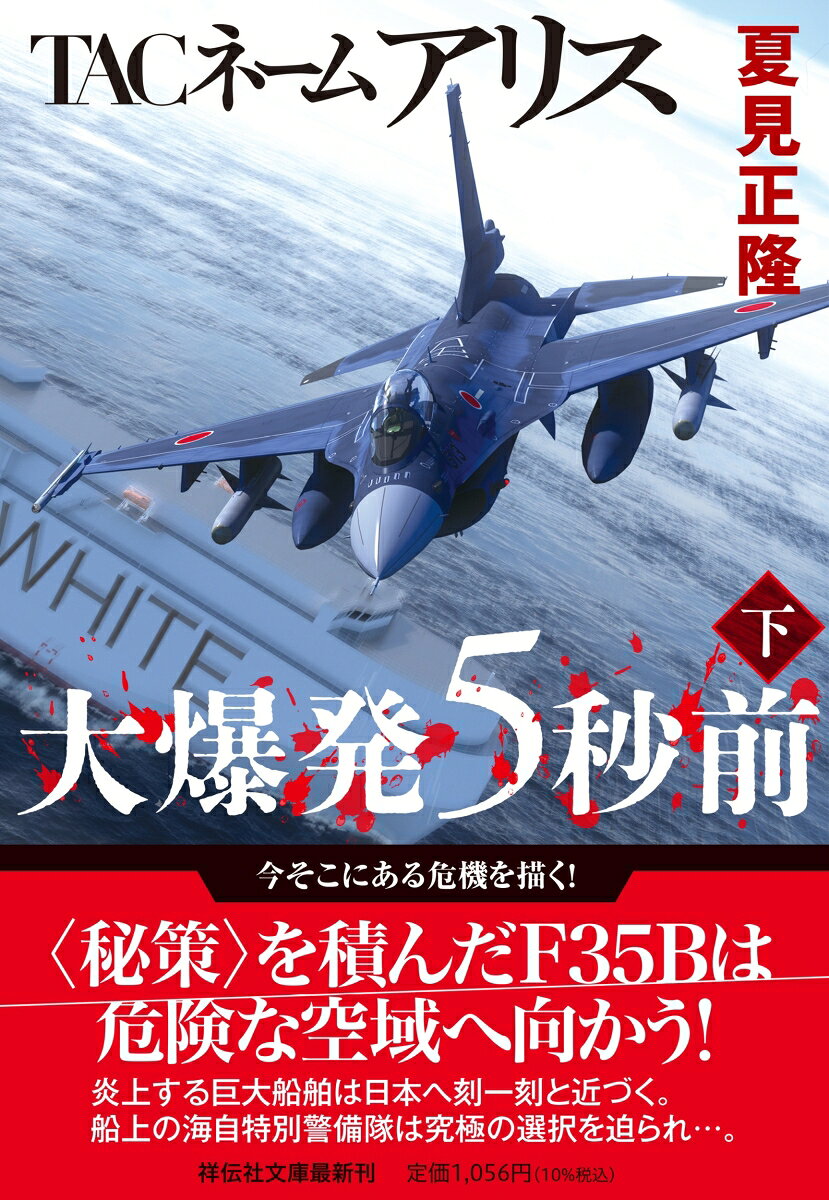 TACネーム アリス 大爆発5秒前（下)