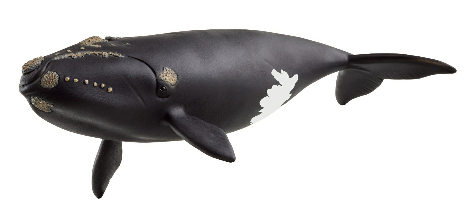廃盤 レア】シュライヒ ジンベイザメ 16089 Schleich クジラ