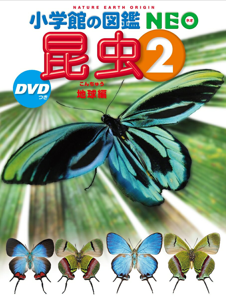 地球上に見られる昆虫を約２３００種掲載。たくさんの昆虫の美しい色やふしぎな形を、実際の大きさで楽しめます。上から見たすがたを基本に、横・正面・腹面・はねを開いたすがたなど、色々な方法で撮影された標本写真で昆虫を紹介！