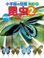 昆虫2 DVDつき
