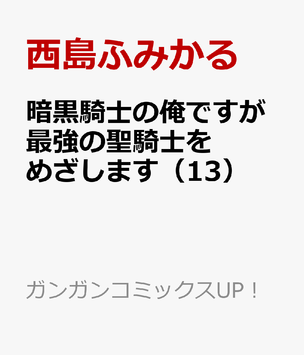 暗黒騎士の俺ですが最強の聖騎士をめざします（13）