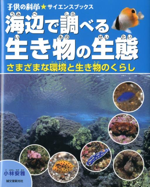 海辺で調べる生き物の生態