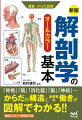 医療＆スポーツ関係者の「学習」と「現場対応」に役立つ知識。「骨格」「筋」「消化器」「脳」「神経」…からだの構造と各器官の働きが図解でわかる！！