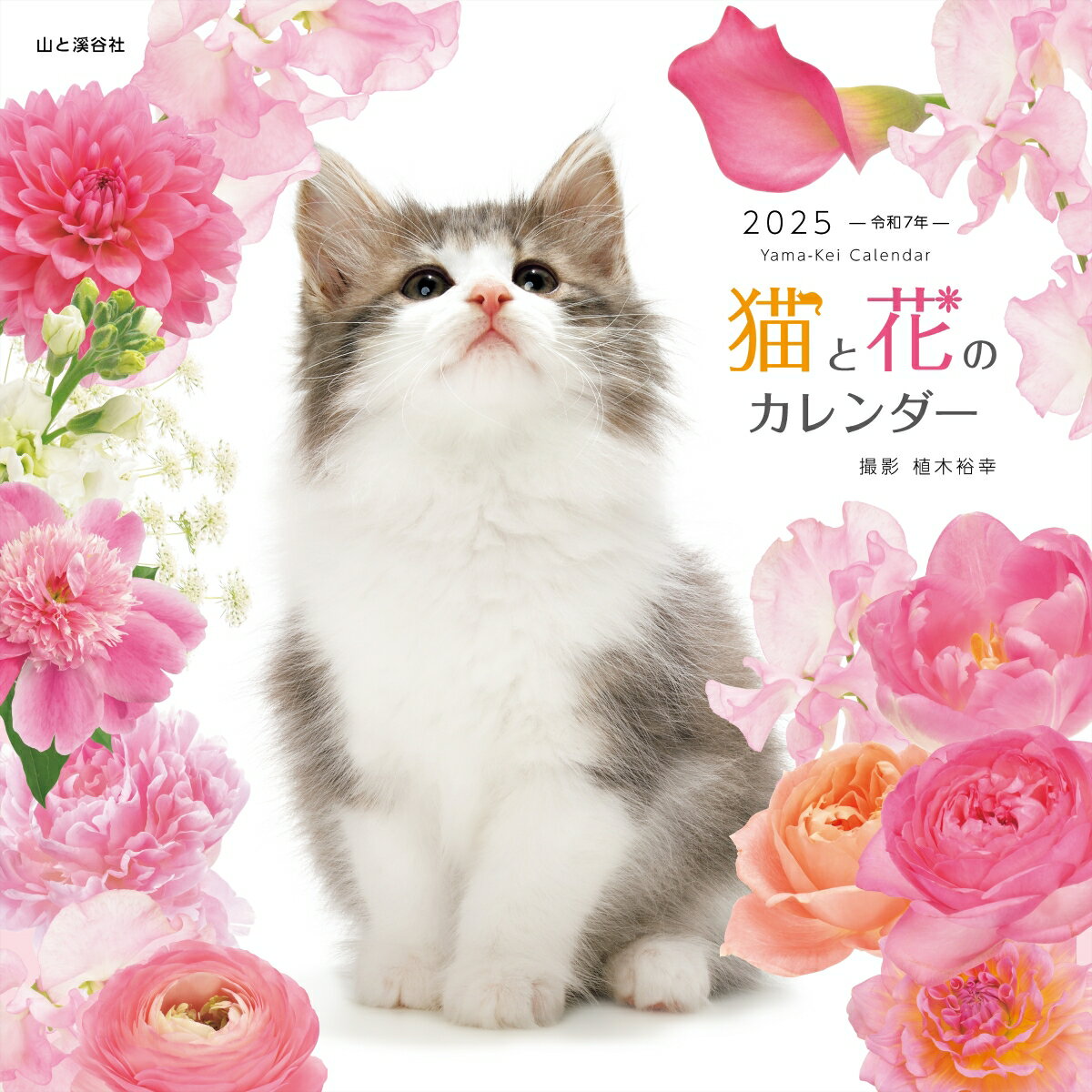 猫と花のカレンダー(2025)