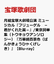 月組宝塚大劇場公演 ミュージカル『フリューゲル -君がくれた翼ー』/東京詞華集（トウキョウアンソロジー）『万華鏡百景色（ばんかきょうひゃくげしき）』 [ 宝塚歌劇団 ]