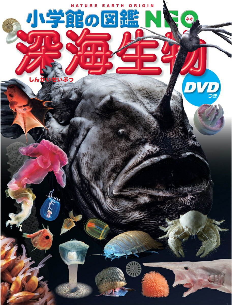 深海生物 DVDつき （小学館の図鑑NEO