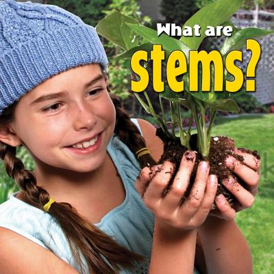 What Are Stems? WHAT ARE STEMS （Plants Close-Up） [ Molly Aloian ]