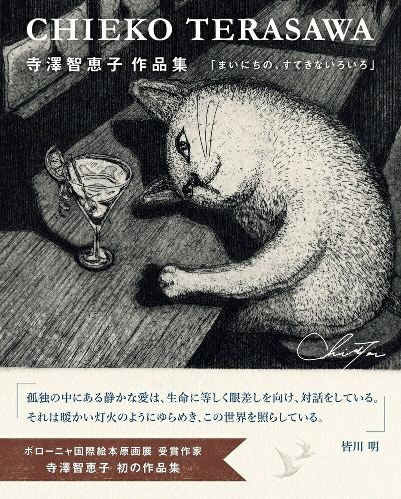 寺澤智恵子作品集 まいにちの、すてきないろいろ