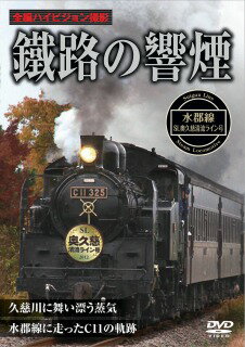 (鉄道)【VDCP_700】 テツロノキョウエン スイグンセン エスエルオククジセイリュウラインゴウ 発売日：2013年04月26日 予約締切日：2013年04月19日 PSG PSSDー217 JAN：4937629022280 TETSURO NO KYOUEN SUIGUNSEN SL OKUKUJI SEIRYUU LINE GOU DVD ドキュメンタリー その他