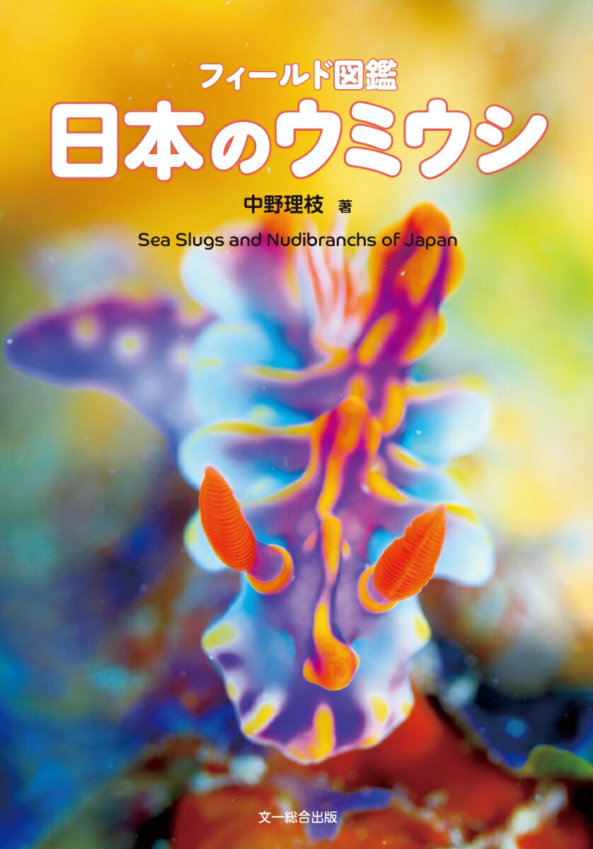 フィールド図鑑 日本のウミウシ [ 中野理枝 ]