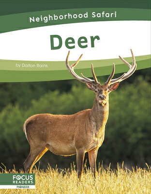 Deer DEER [ Dalton Rains ]