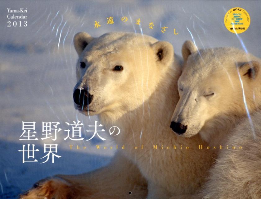 星野道夫の世界 永遠のまなざし 2013 カレンダー